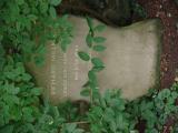 image of grave number 907470